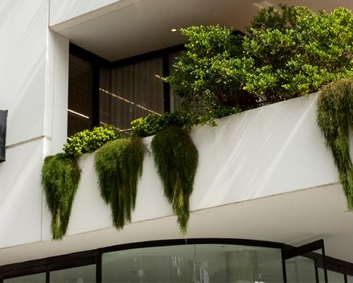Modern apartment building with greenery hanging over balcony.