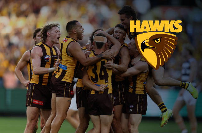 Hawks-100